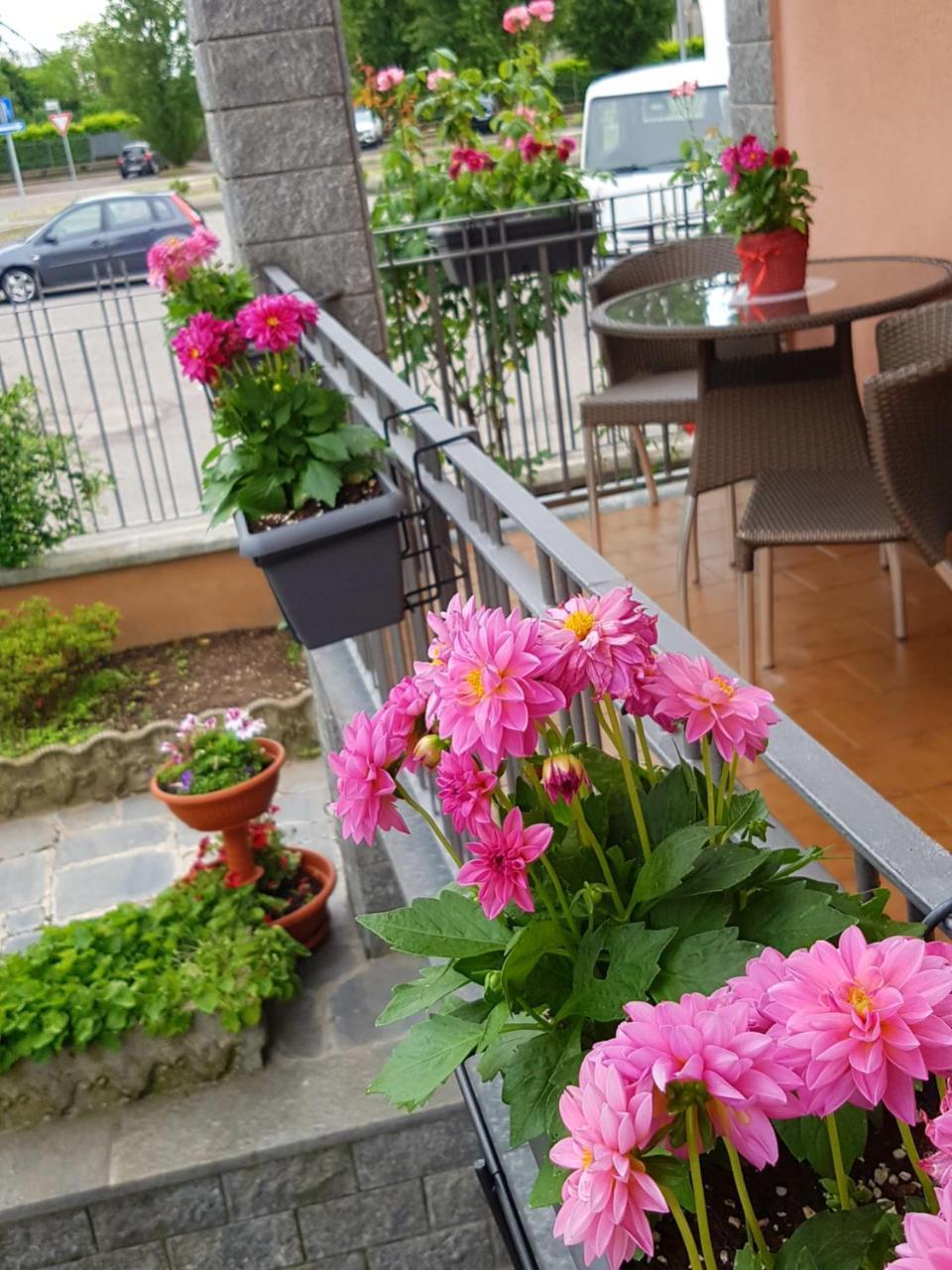 Villa Rosina Ро Экстерьер фото